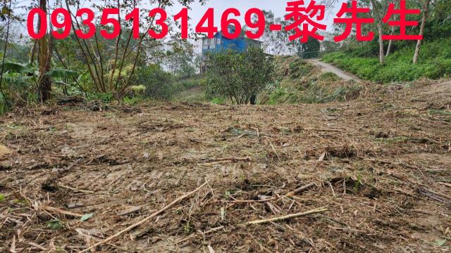 新竹竹東農地-11