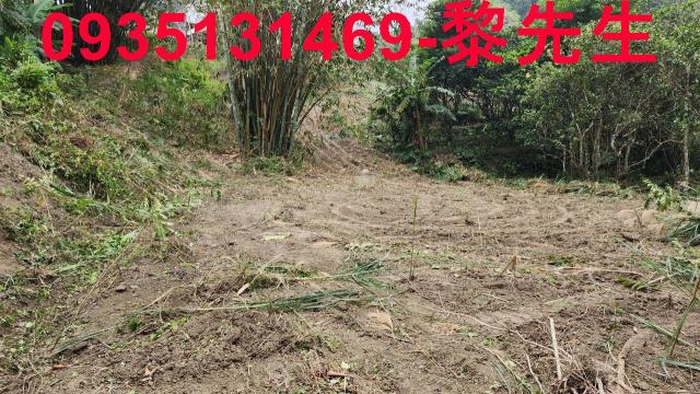 新竹竹東農地-1