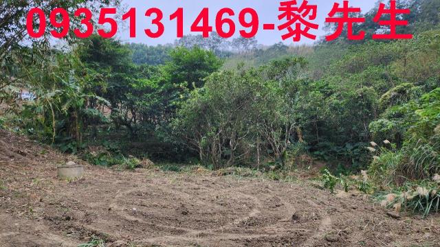 新竹竹東農地-2