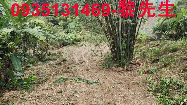 新竹竹東農地-4