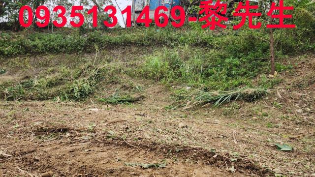新竹竹東農地-5