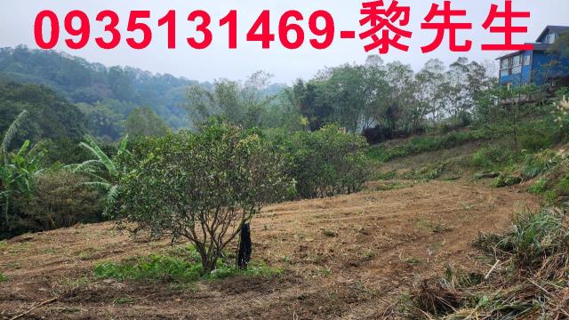 新竹竹東農地-8