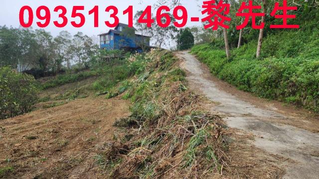 新竹竹東農地-9