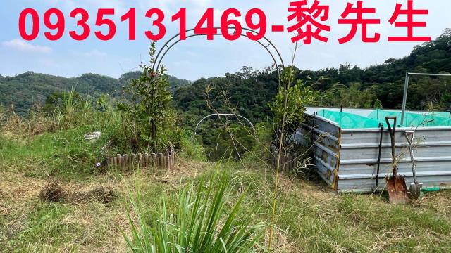 新竹寶山農地-4