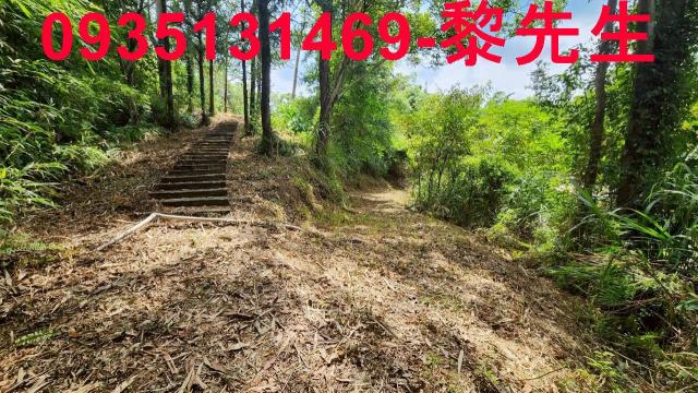 橫山農地-9