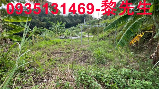 寶山農地-3