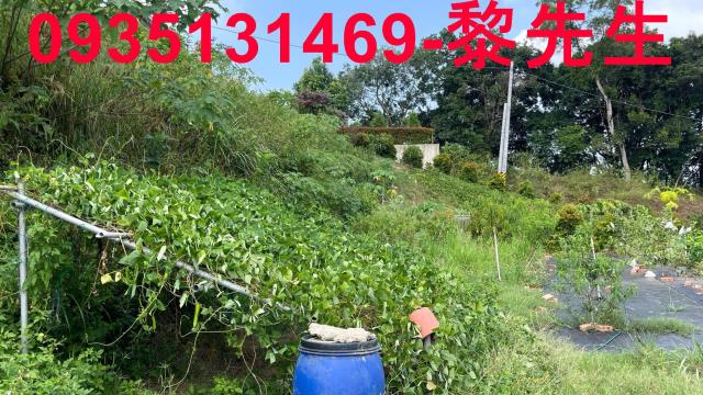 寶山農地-10