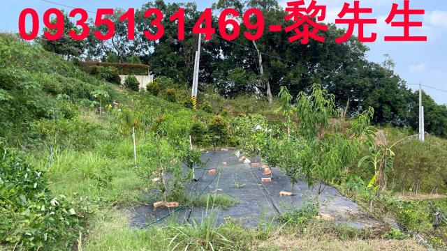 寶山農地-11