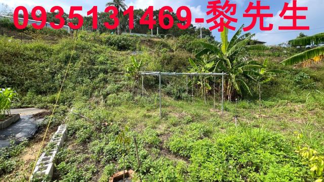 寶山農地-2