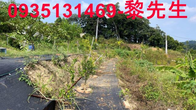 寶山農地-3