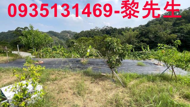 寶山農地-4