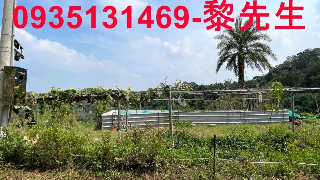 寶山農地-5