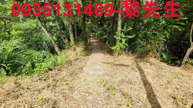 橫山農地-3