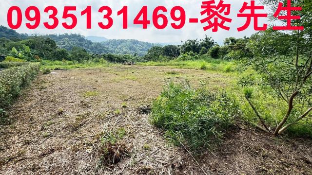 新竹農地-13