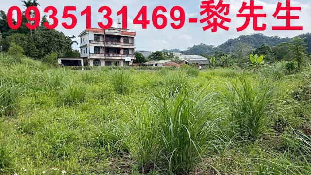 新竹農地-5