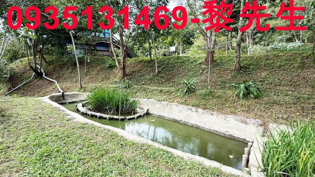 新竹關西農地-2