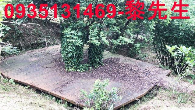 新竹關西農地-10