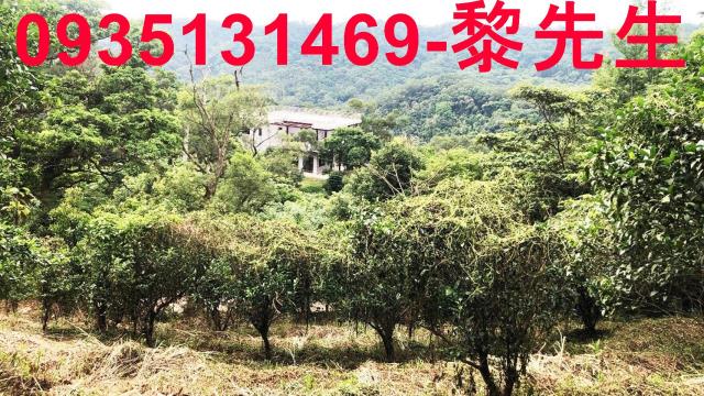 新竹關西農地-3