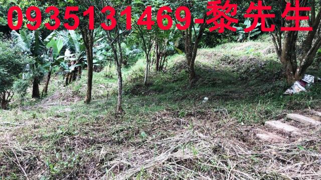 新竹關西農地-0