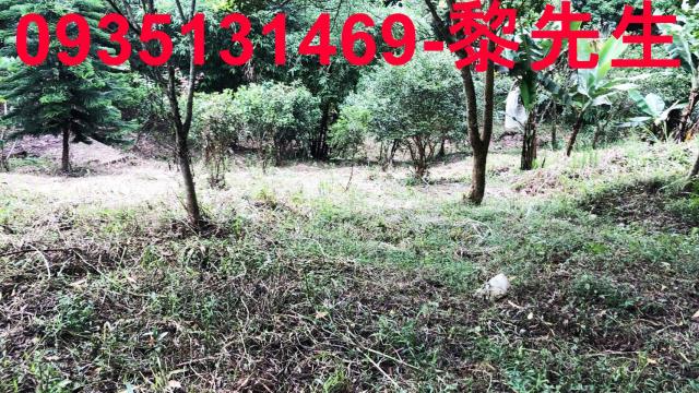 新竹關西農地-7