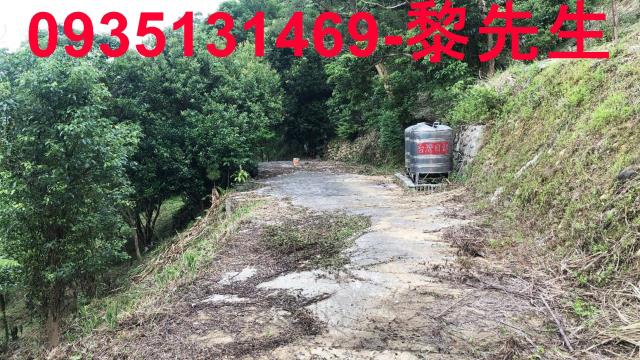 新竹關西農地-12