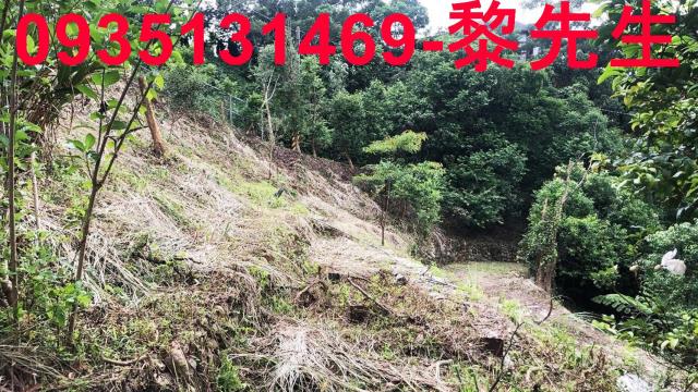 新竹關西農地-5