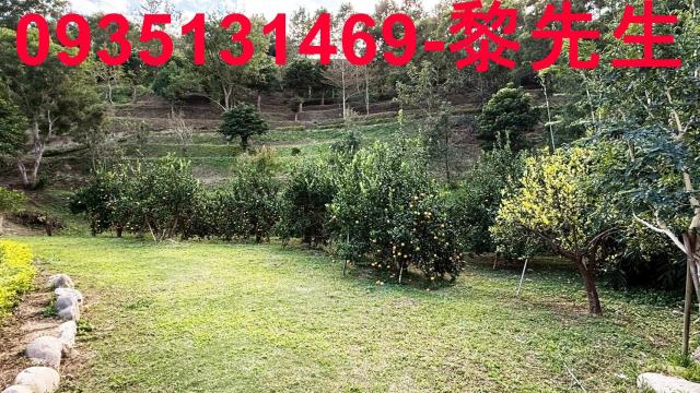 新竹峨眉農地-13