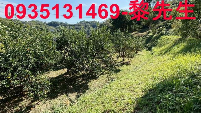 新竹峨眉農地-5