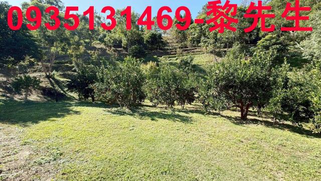 新竹峨眉農地-0