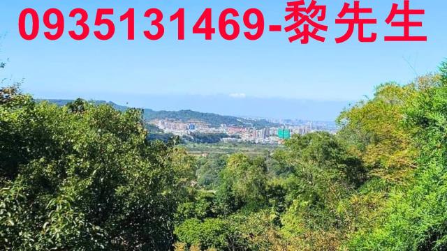 新竹橫山林地-8