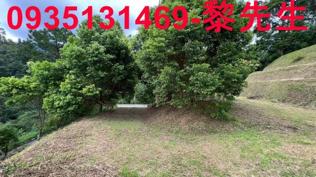 新竹北埔農地-12