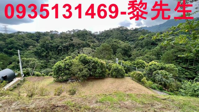 新竹北埔農地-7