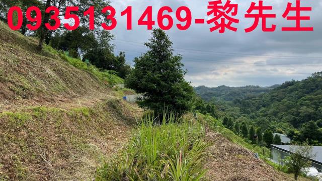 新竹北埔農地-2