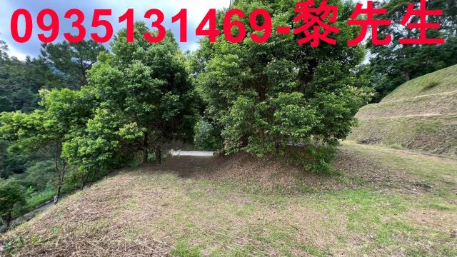 新竹北埔農地-3