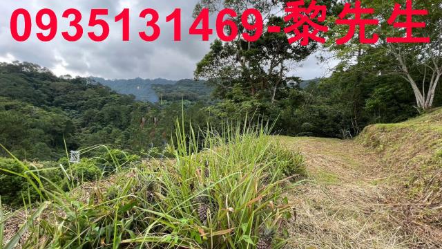 新竹北埔農地-4