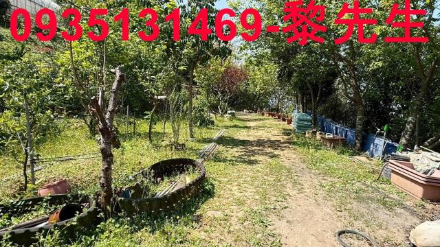 新竹關西農地-9