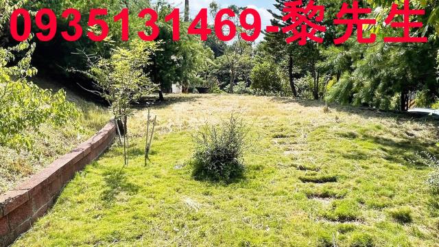 新竹新埔農地-4