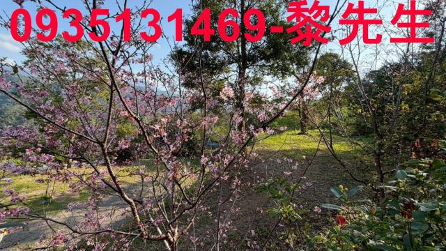 新竹北埔農地-10