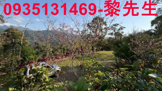 新竹北埔農地-11