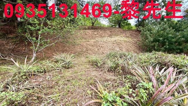 新竹北埔農地-13