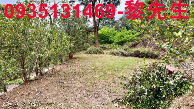 新竹北埔農地-14