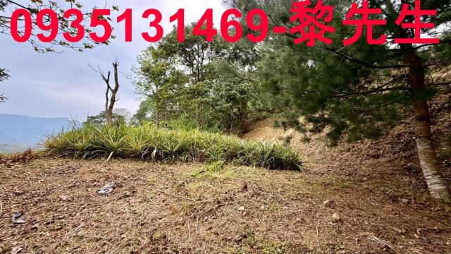 新竹農地-11