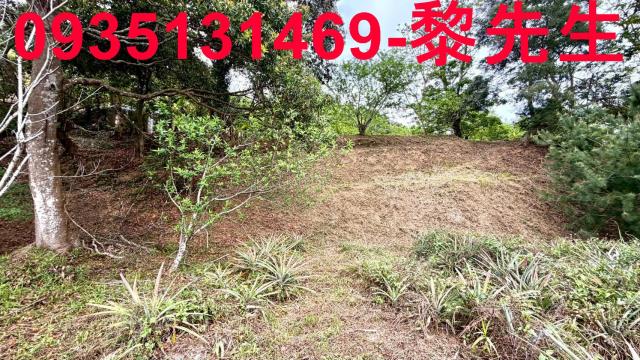 新竹農地-12