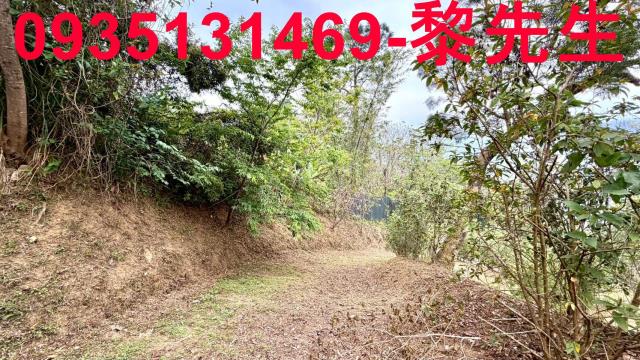 新竹農地-7