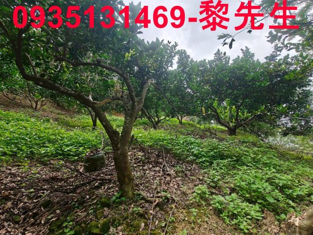 北埔農地-4