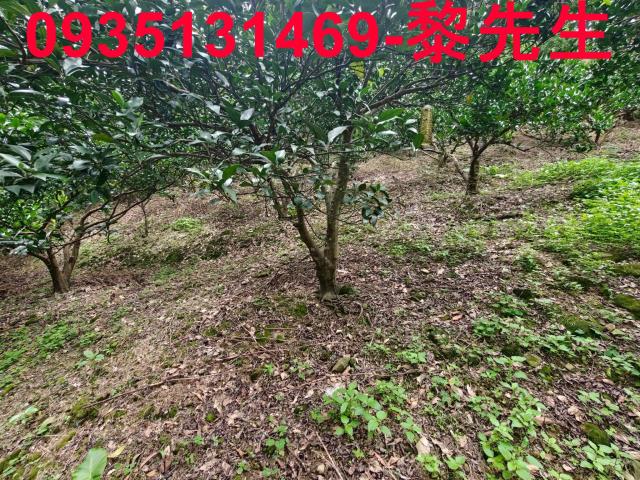 新竹北埔農地-2