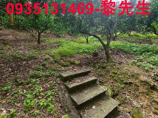 新竹北埔農地-3
