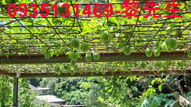 新竹峨眉林地-13