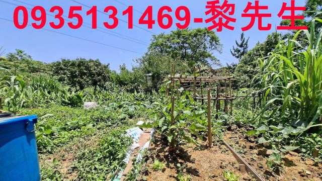 新竹峨眉林地-14