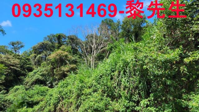 芎林林地-11